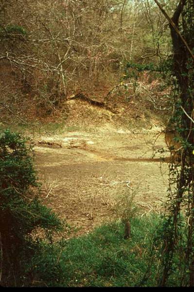 Photo of river valley