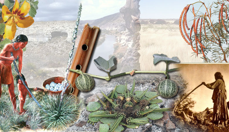 colorful collage of plants and illustrations of people
