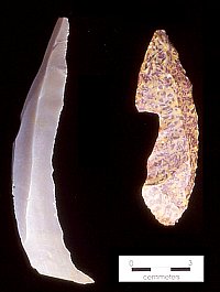 Paleoindian Blades