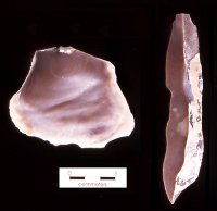 Edwards Chert, Kimble County 