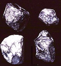 Obsidian Nodules