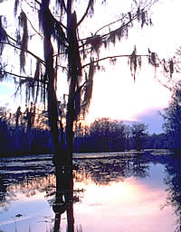 sunset over Caddo Lake