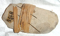 photo of a stone wrapped with grass and cactus spines