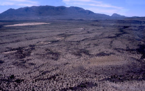 Photo of view of Rosillo Mountains