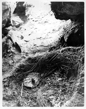 photo of one of five storage pits