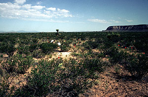 photo of Padre Canyon