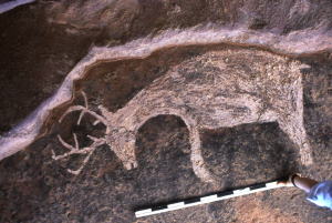 pictograph of a deer from a rockshelter