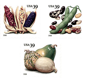 Photo of corn, beans and squash, some of the main crops grown in Trans-Pecos