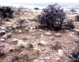 Photo of one of Squawteat Peak's wickiup rings