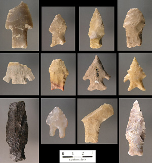 Twelve images of Early Archaic dart types
