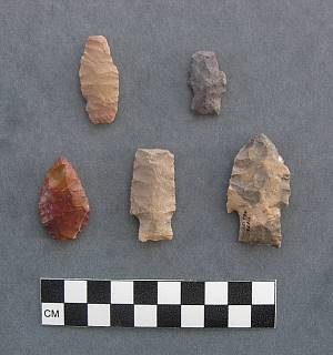 Early Archaic dart points from Hueco Tank