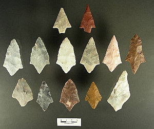 photo of Middle Archaic dart points and preforms from the Lizard Hill cache
