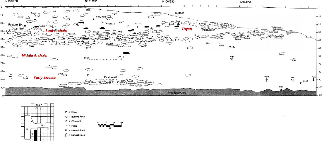 Plotted artifacts