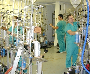 lab