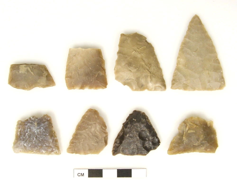 Early triangular dart points 