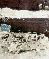 photo of bison bone pit