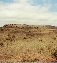 photo of a dry-looking High Plains