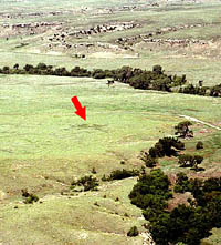 aerial photo of the area of the Kit Courson house