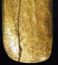 photo of bison tibia tool showing polish