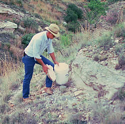 collecting volcanic ash