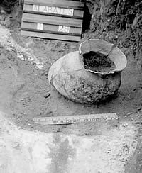 Flared rim cooking vessel