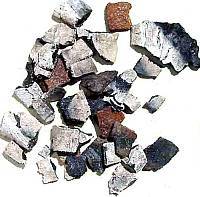photo of tiny bones and flint flakes