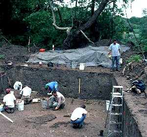 ML37-workers