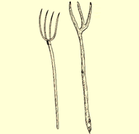 drawing of pitchforks