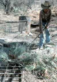 photo of a seasoned wax worker