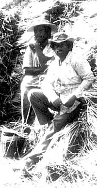 photo of a man sitting on weed