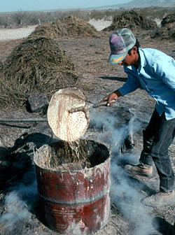 photo of wax forming