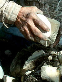 photo of weathered hands