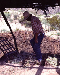 photo of stomping weed