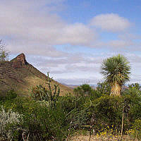 photo of the Chihahuan desert