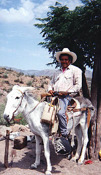 Photo of candelillero Navidad Zubia on his mule