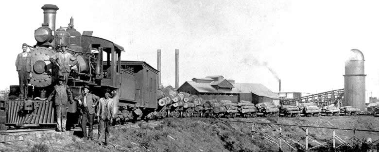 photo of a log train
