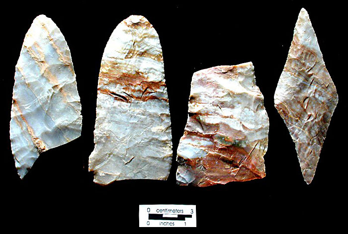 Game might have been butchered and processed with large, beveled-edged knives, such as these of banded-white Alibates flint. Photo by Milton Bell.