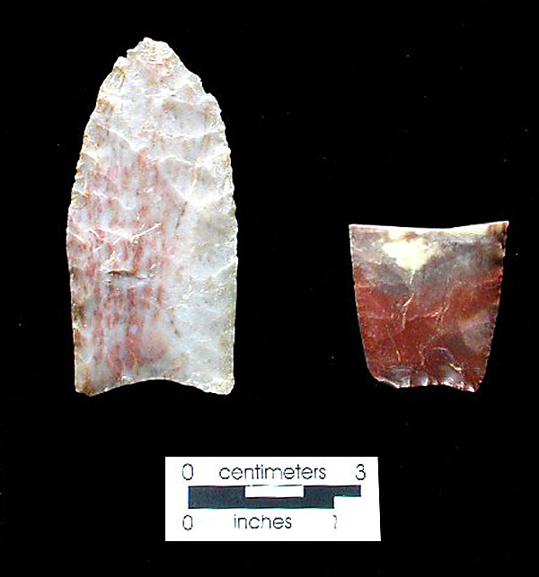 Paleoindian dart tips of Alibates flint. A Clovis point (left) and broken base of another show types of stone chosen by occupants of the Blackwater Draw site. Photo by Milton Bell.
