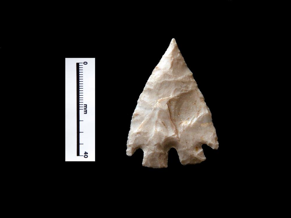 Full size image of Montell dart point