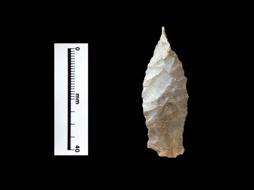 Full size image of Pandale dart point