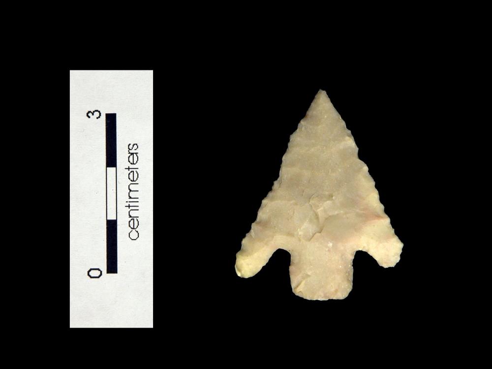 Full size image of Shumla dart point