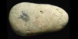 Image of a bone tools from Arenosa.