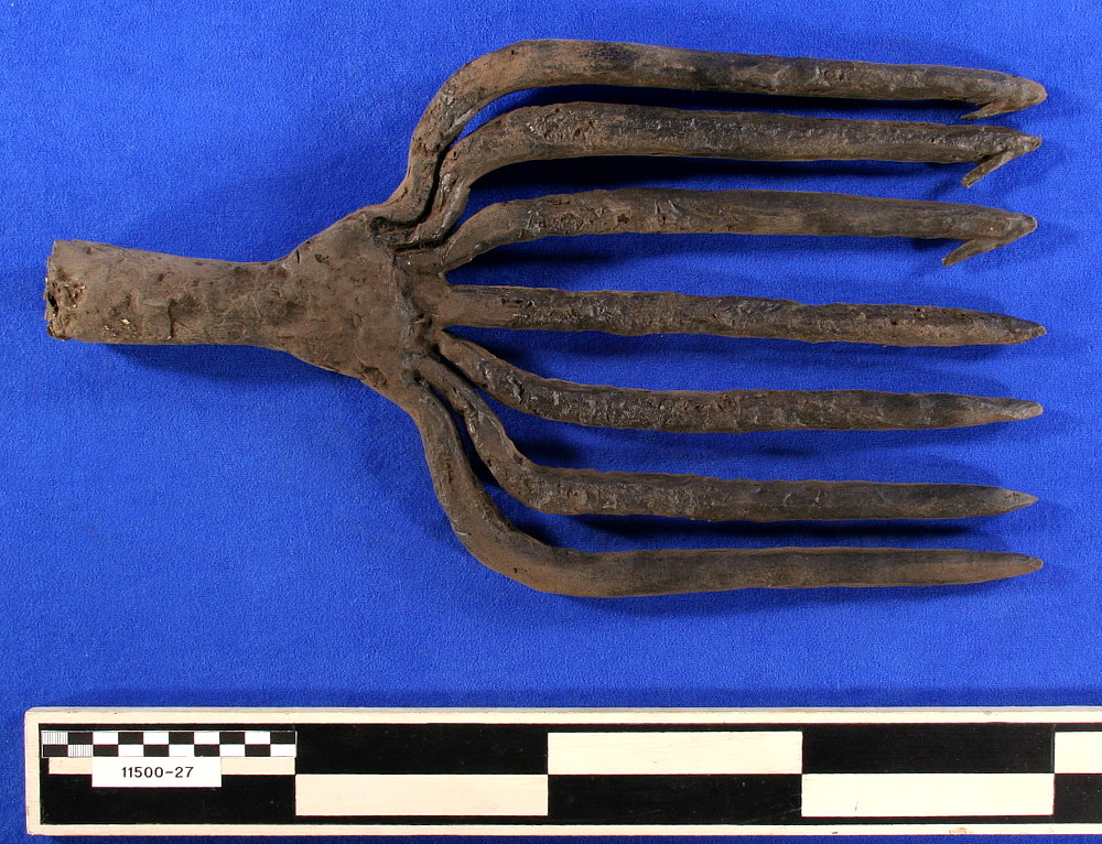 photo of the seven-tined fishing spear