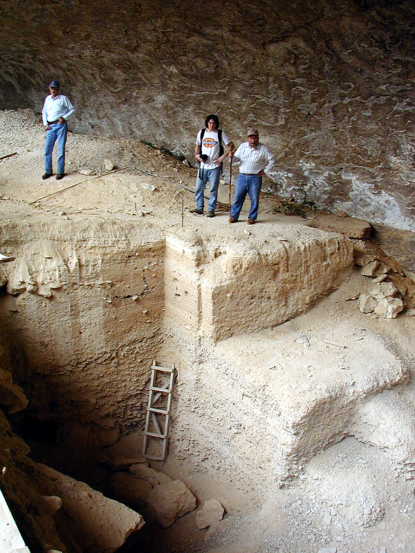 View of the excavation walls near the rear of the shelter. Notice the stratified deposits of cave dust and roof spall. Bone Bed 2 lies just above the wooden ladder.