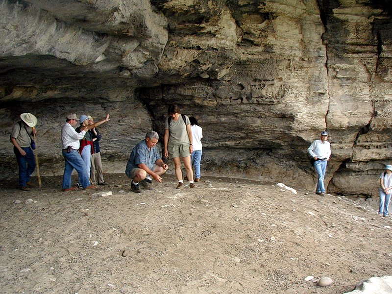 Kelly Cave was badly disturbed by relic collectors in the 1920s and 1930s. The surviving deposits contain many fragments of plant fibers, animal bones, charcoal, stone-tool-making debris, and spent cooking rocks. These traces show that the rockshelter was lived in countless times over thousands of years.