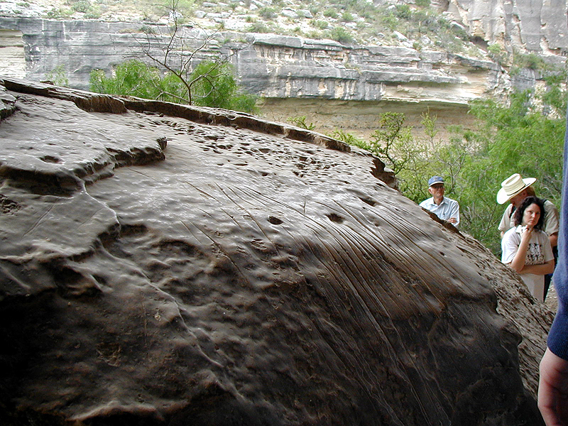 The upper surface of this limestone boulder in Kelly Cave is worn slick from being rubbed by countless people, possibly during leather working. The sharp grooves may have resulted from dulling the edge of chipped-stone tools during tool making.