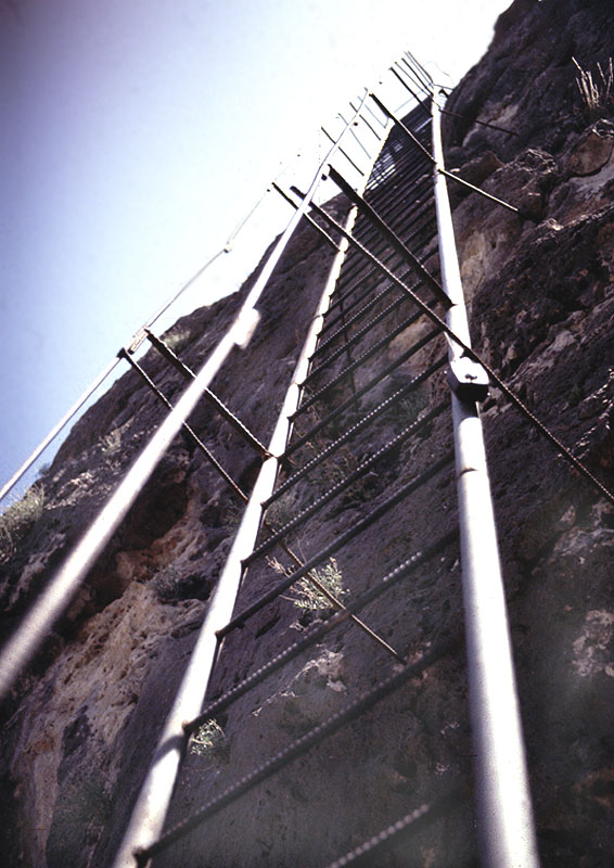 View up ladder on cliff, 1983. Photo by Herb Eling..