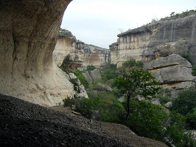 View up Mile Canyon from Eagle Cave. Bonfire Shelter lies just around the bend.