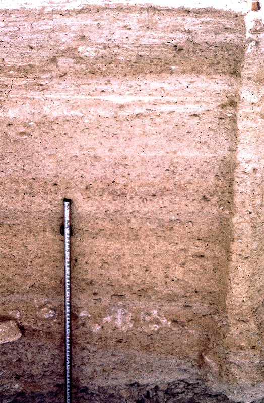 Excavation wall in central area of Bonfire. The deposits consist mainly of cave dust and roof spalls. Photo by Dave Dibble.