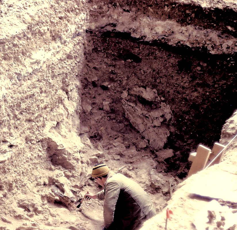 Roy Little exposes bones in upper part of Bone Bed 1, February, 1984. Photo by Dave Dibble.